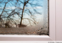 Schimmel am Fenster