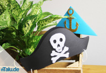 Ideen für Piratenparty