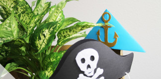 Ideen für Piratenparty