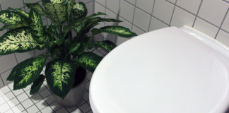 Toilettendeckel montieren