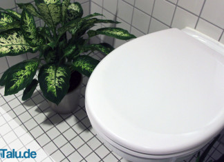 Toilettendeckel montieren