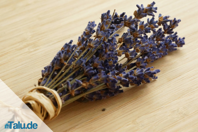 Getrockneter Lavendel