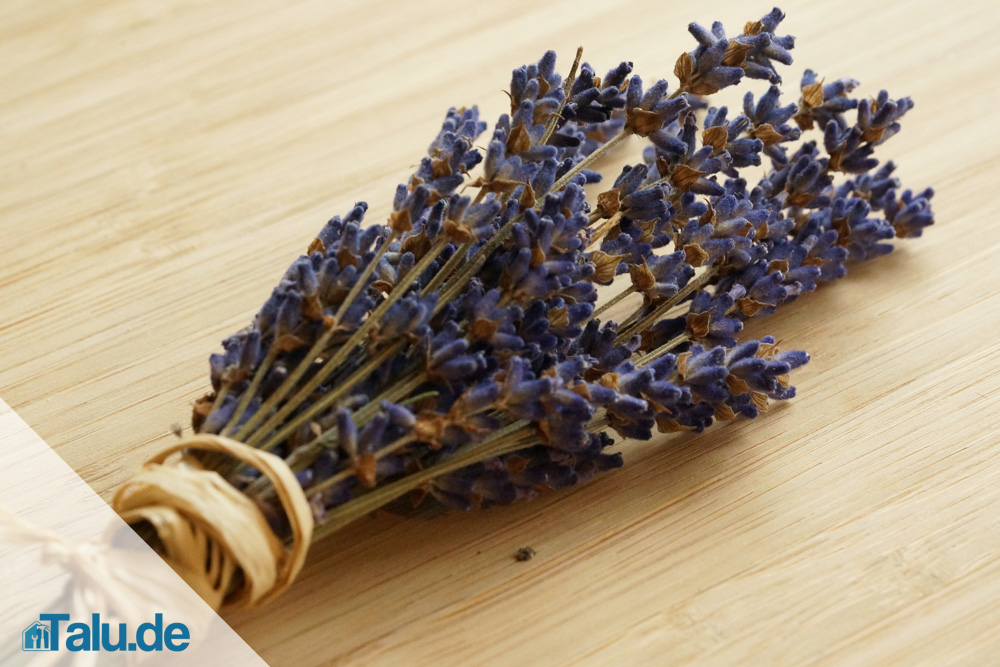 Getrockneter Lavendel