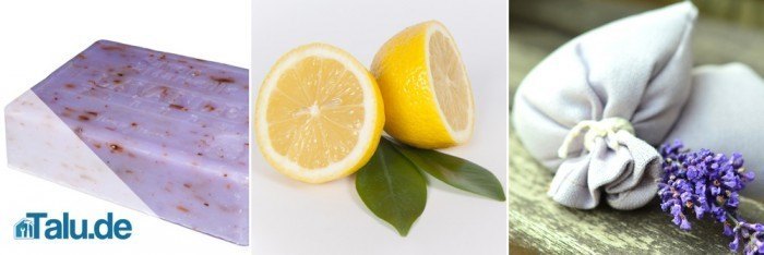 Frisch gewaschene Wäsche stinkt muffig? - 5 Tipps - Talu.de