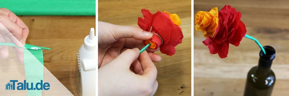 blume-staengel-06