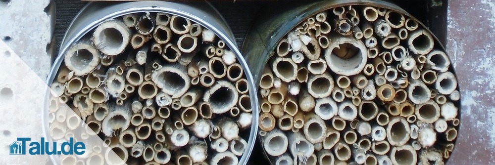insektenhotel-blechdose