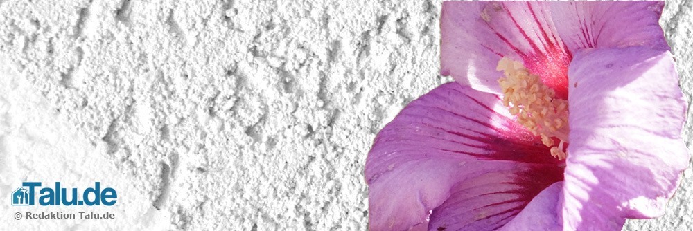 Gartenhibiskus mag Wärme