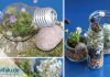 Terrarium in einer Glühbirne