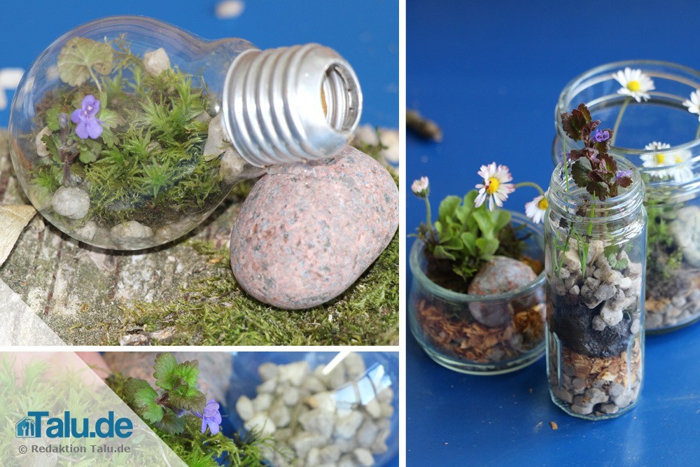 Terrarium in einer Glühbirne