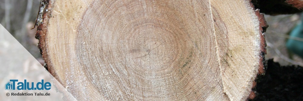 Dämmmaterial aus Holz