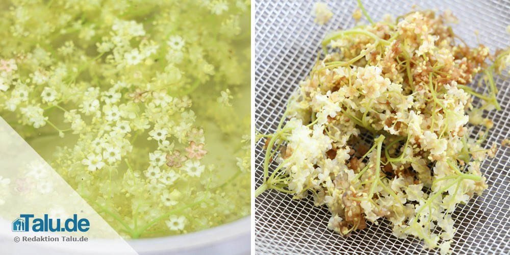 holunderbluetentee-selber-machen-kochen-sieben