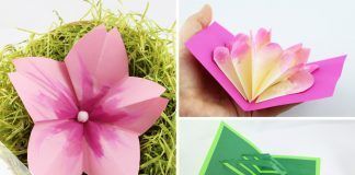 Origami Anleitungen Für Anfänger Und Fortgeschrittene Talude