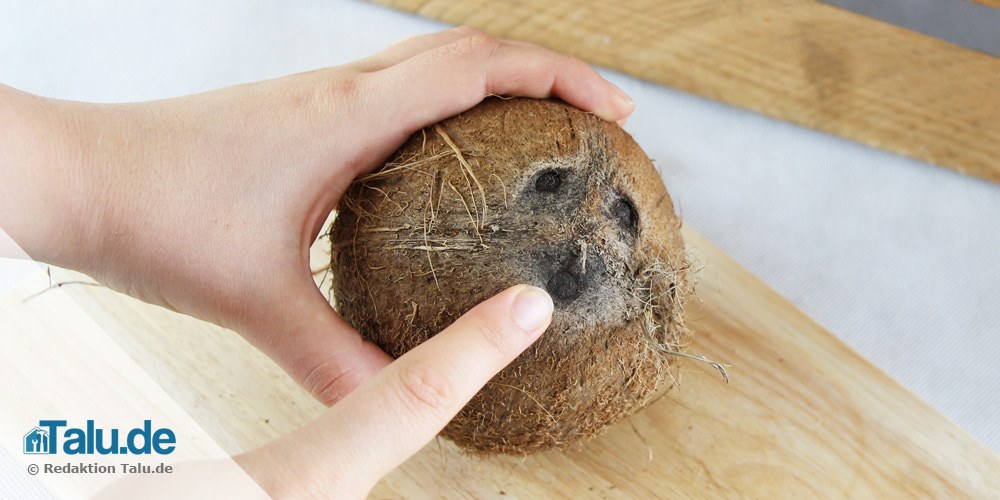 Kokosnuss öffnen