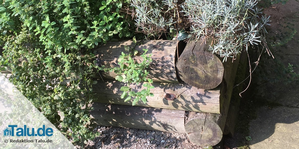 Hochbeet mit Baumstämmen