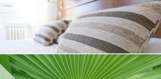 Pflanzen im Schlafzimmer