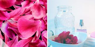 Rosenwasser herstellen