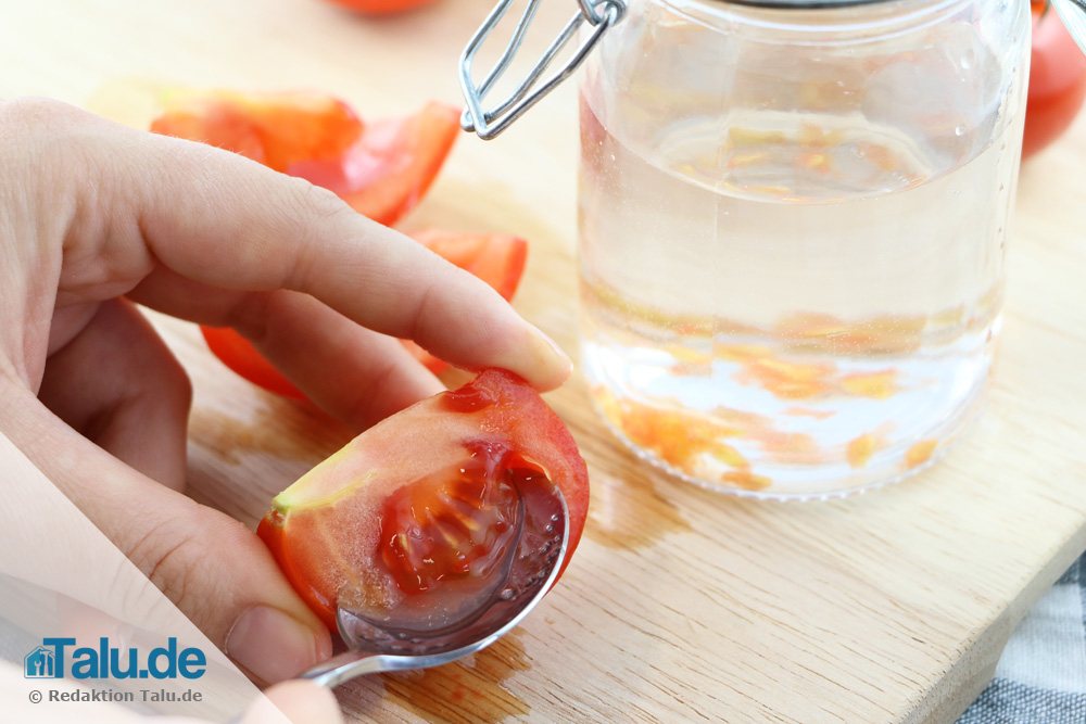 Tomatensamen gewinnen