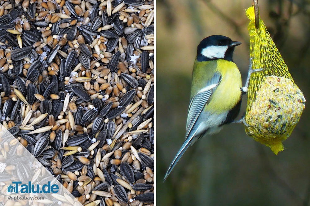 Vogelfutter selber machen