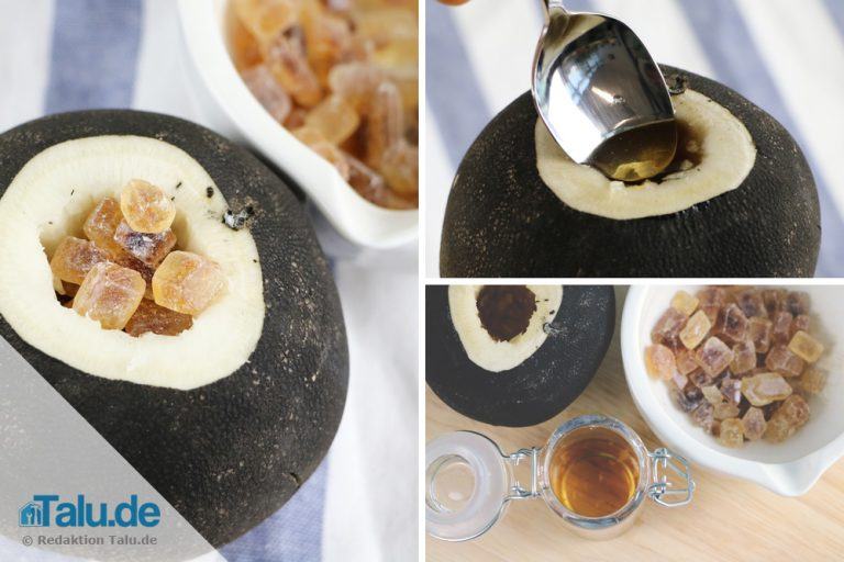 Hustensaft aus Schwarzen Rettich mit Kandiszucker herstellen - Rezept