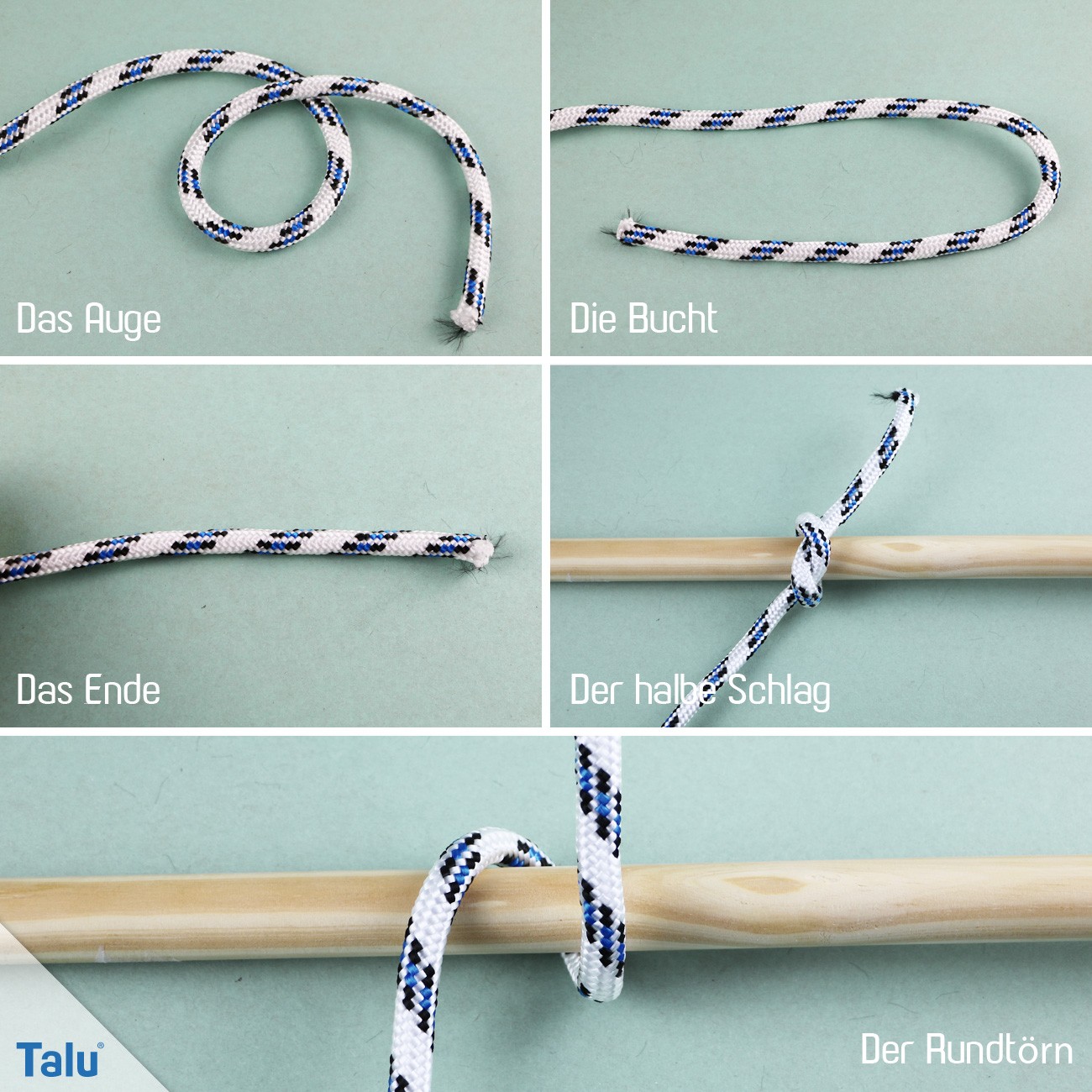 Grundbegriffe der Knotenkunde