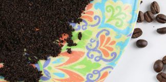 Kaffeesatz als Dünger
