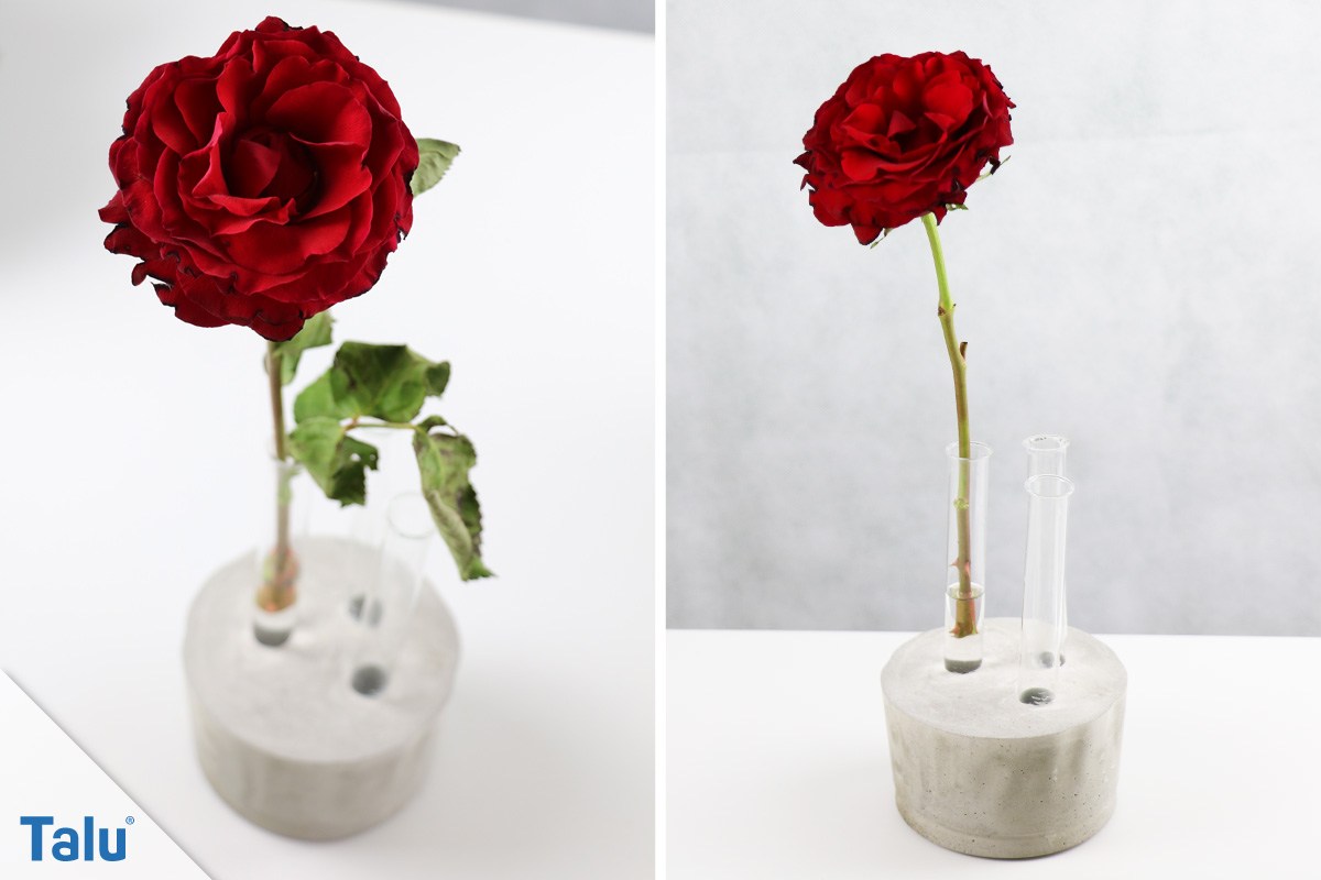 Betonvase selber machen