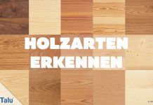 Holzarten erkennen