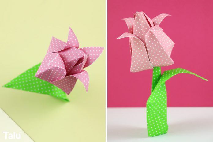 Origami Tulpe Falten Diy Anleitung Zum Ausdrucken Talude