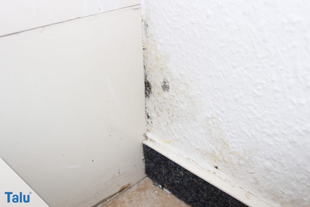 Stockflecken entfernen - so werden Sie Schimmelflecken los! - Talu.de