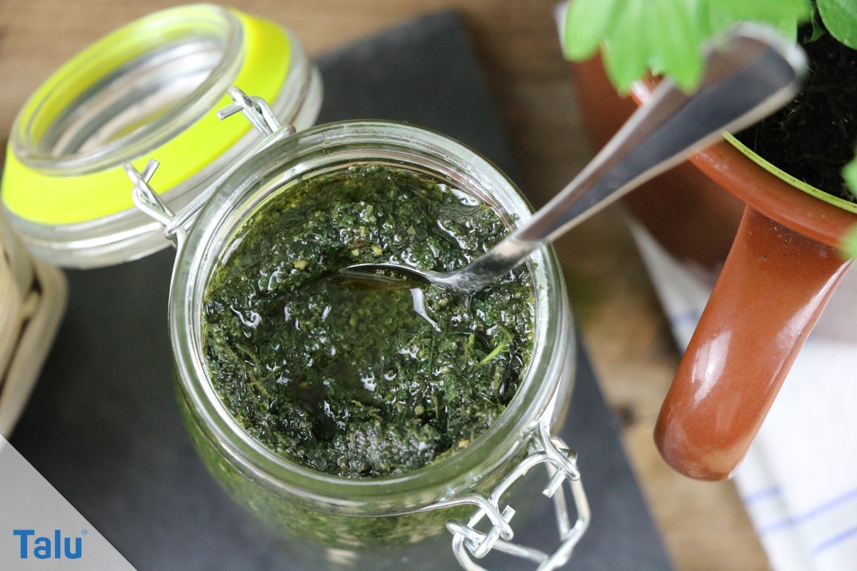 Brennnessel-Pesto