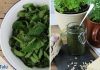 Brennnessel-Pesto