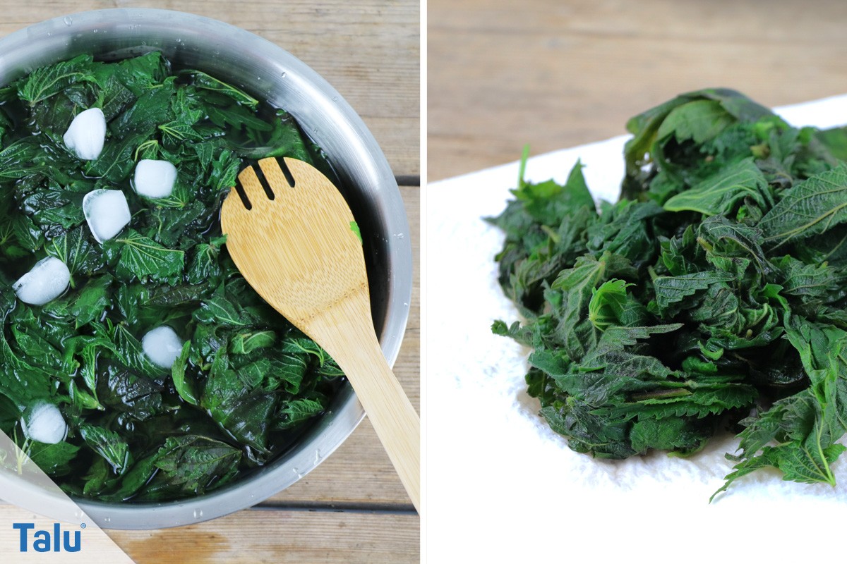 Brennnessel-Pesto