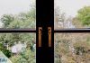 Fenster