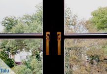 Fenster