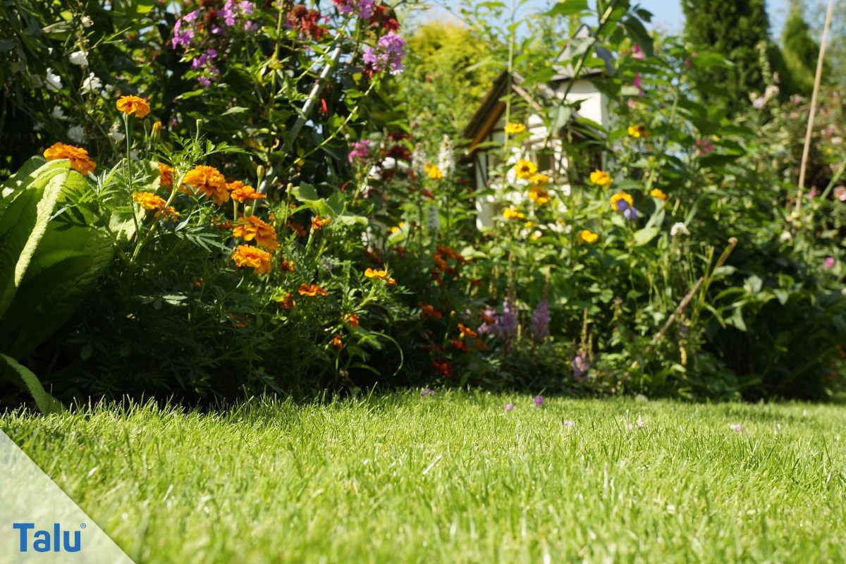 Schöner Garten