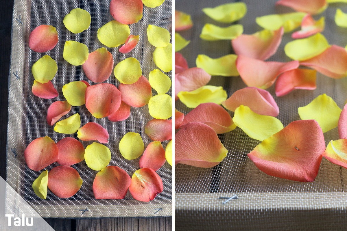 Rosenblätter trocknen