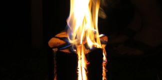 Schwedenfeuer - Baumfackel