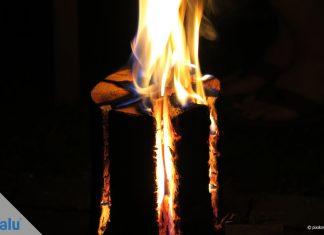 Schwedenfeuer - Baumfackel