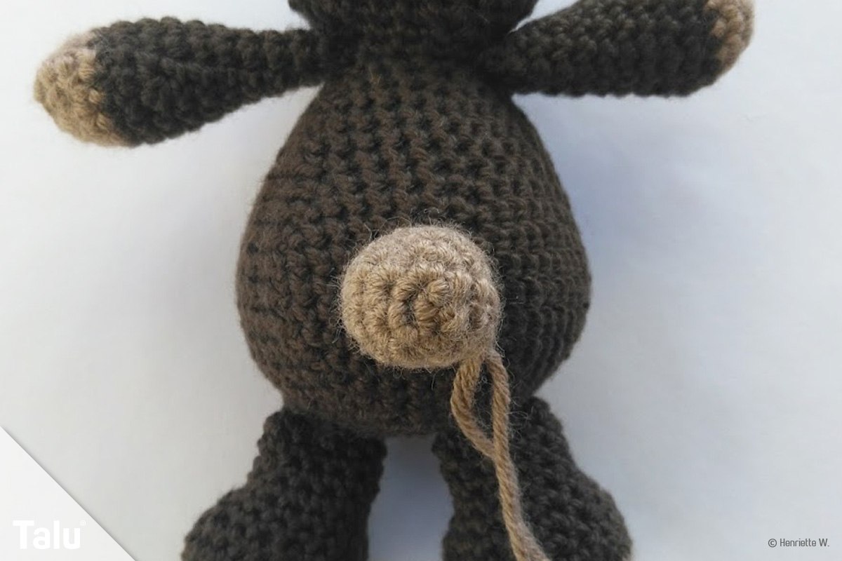 Teddy häkeln