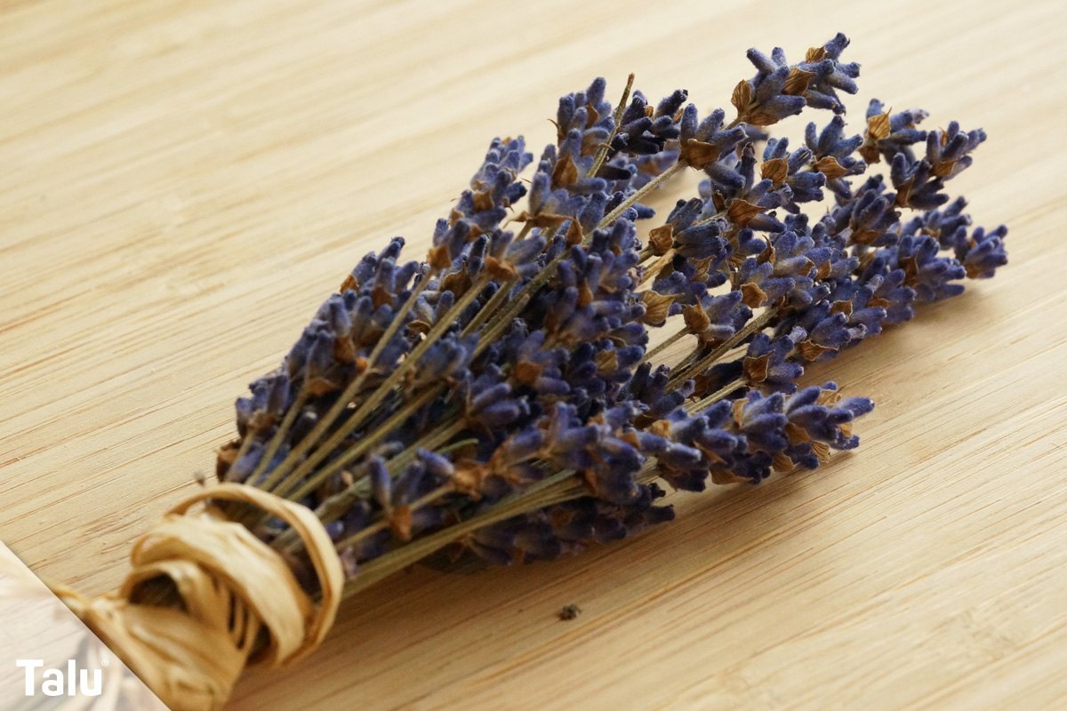 getrockneter Lavendel
