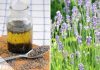 Lavenedelöl selber machen