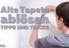 alte Tapeten ablösen