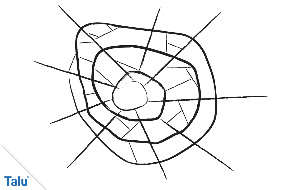 einfaches Spinnennetz Vorlage