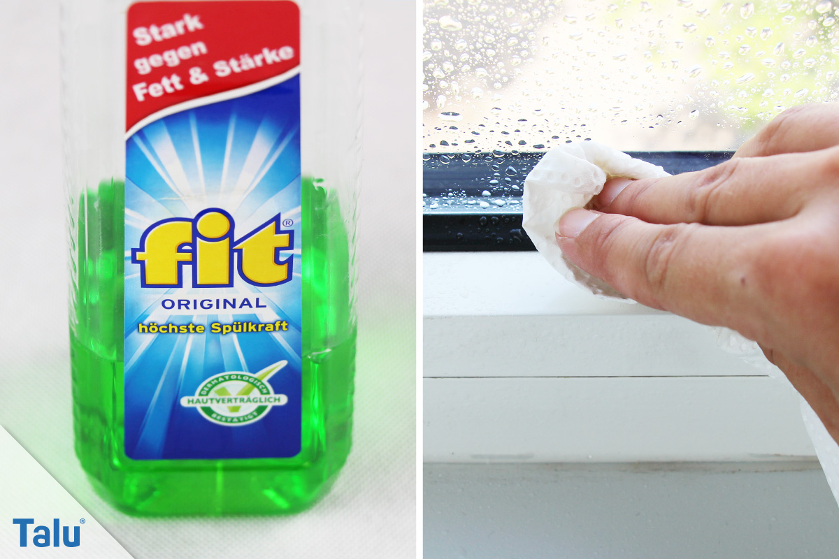 Fenster putzen