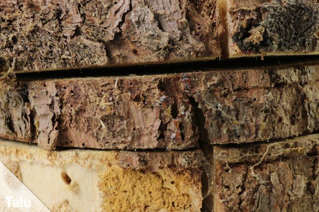 Brennholz lagern - Ideen und Tipps für das Lagern von Kaminholz - Talu.de