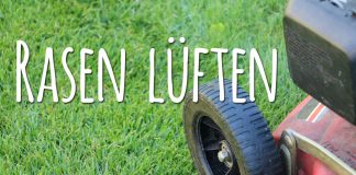 Rasen lüften