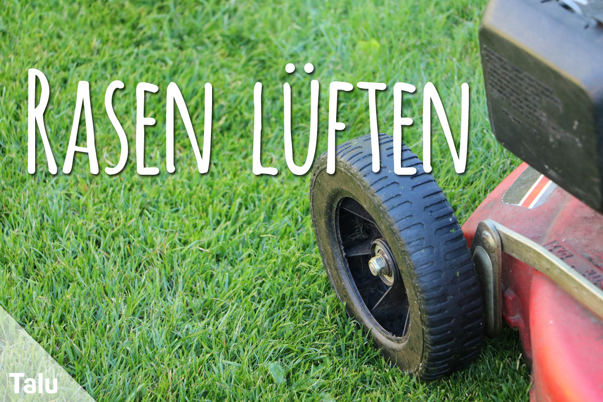 Rasen lüften