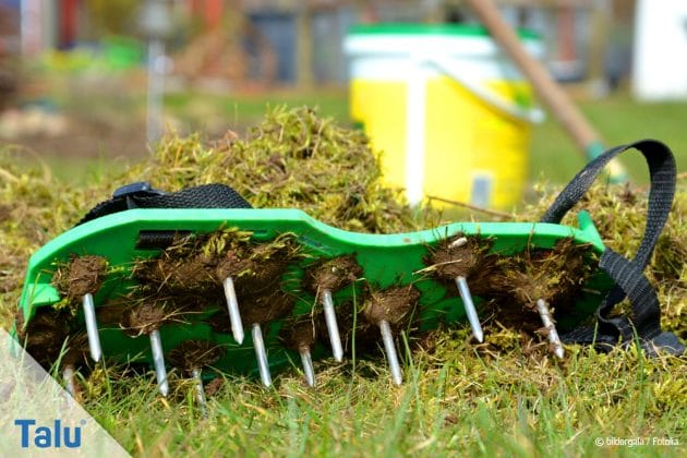 Rasen lüften - Anleitung - Hinweise zu Geräten & Zeitpunkt - Talu.de