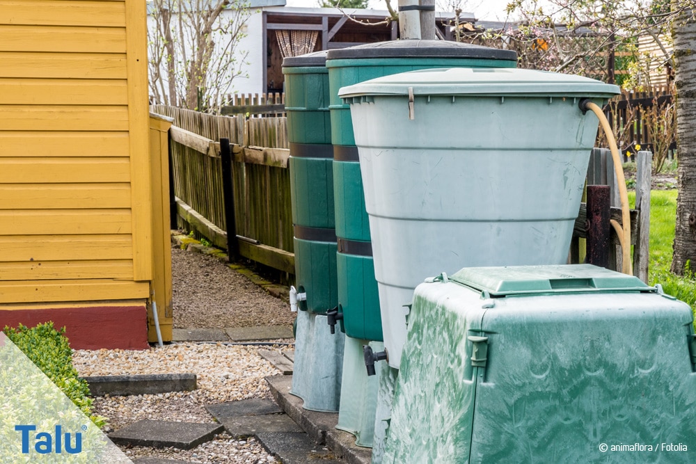 Regentonne anschliessen - so wirds gemacht - Regenwasser im Garten