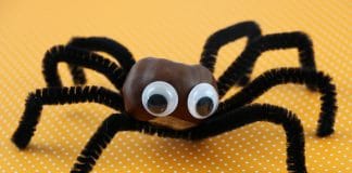 Spinne basteln